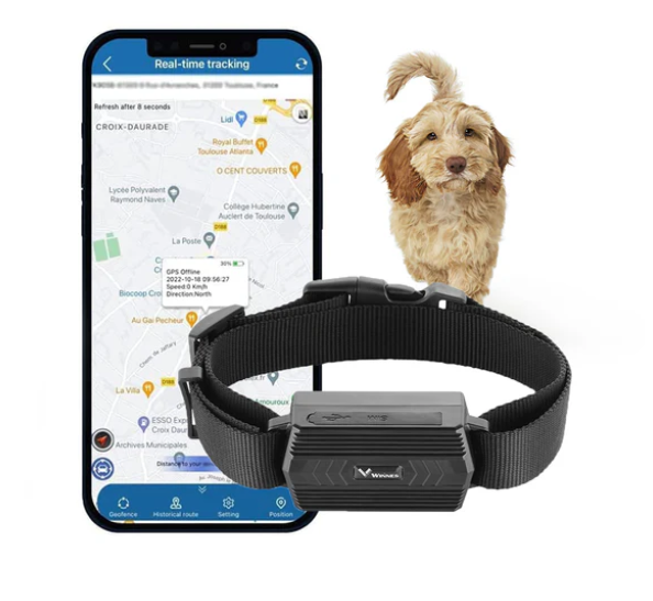 WINNES 2GTK935 GPS tracker for cattle sheep and camels Hound Tracking Device Real Time Locator Collar For Farm