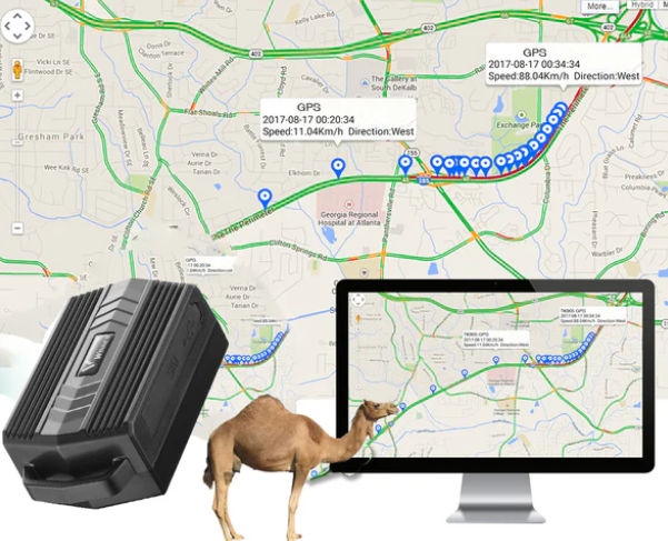 WINNES 2GTK935 GPS tracker for cattle sheep and camels Hound Tracking Device Real Time Locator Collar For Farm